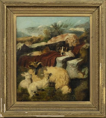 Lot 437 - DOGS AND SHEEP RESTING, AN OIL BY RICHARD ANSELL