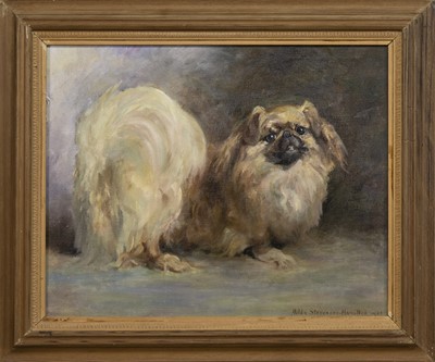 Lot 439 - PEKINGESE DOG, AN OIL BY HILDA STEVENSON-HAMILTON