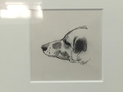 Lot 290 - STUDY OF A DOG, A CHARCOAL SKETCH