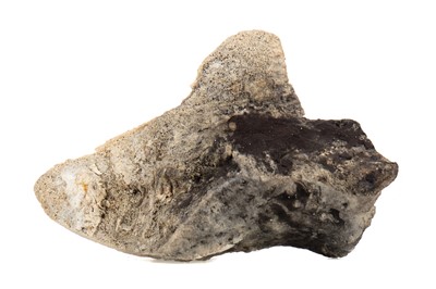 Lot 146 - A SECTION OF AMBERGRIS