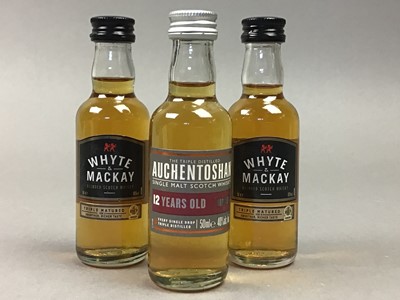 Lot 222 - 16 ASSORTED MINIATURES - INCLUDING MACALLAN GOLD AND BOWMORE 12 YEAR OLD