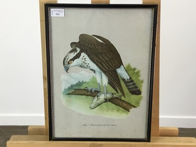 Lot 224 - FRAMED DAVID ANDREWS PRINT