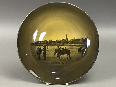 Lot 242 - TWO RIDGWAYS PLATES OF SALTCOATS