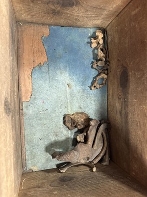 Lot 6 - INSTRUCTIONAL ADULT HUMAN SKELETON