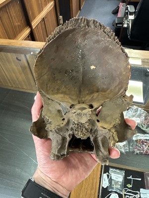 Lot 6 - INSTRUCTIONAL ADULT HUMAN SKELETON