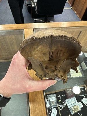 Lot 6 - INSTRUCTIONAL ADULT HUMAN SKELETON