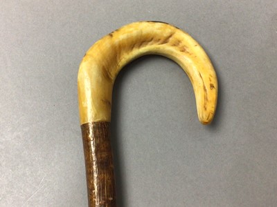 Lot 624 - RAMS HORN HANDLE WALKING STICK