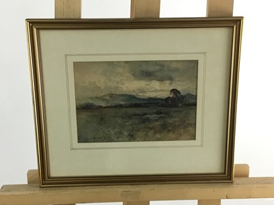 Lot 435 - GROUP OF VARIOUS PICTURES