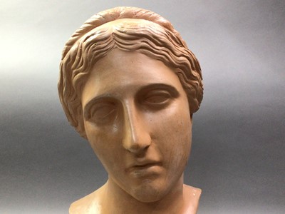 Lot 536 - TERACOTTA BUST