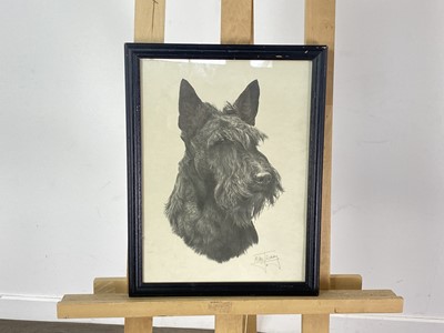 Lot 297 - HIGHLAND TERRIER