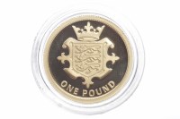Lot 579 - GOLD PROOF £1 ONE POUND COIN DATED 2014 in a...