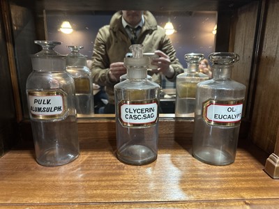 Lot 735 - COLLECTION OF APOTHECARY JARS