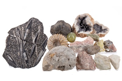 Lot 45 - COLLECTION FOSSILS AND MINERALS