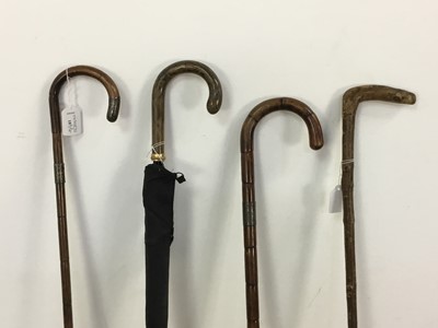 Lot 187 - GROUP OF WALKING STICKS