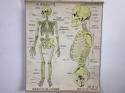 Lot 374 - GROUP OF THREE VINTAGE MEDICAL CHARTS