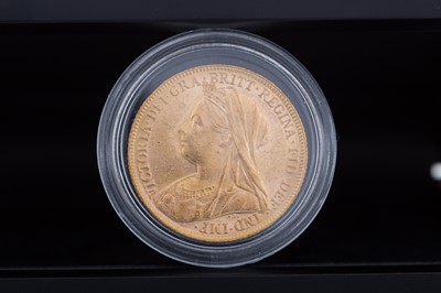 Lot 20 - VICTORIA SOVEREIGN