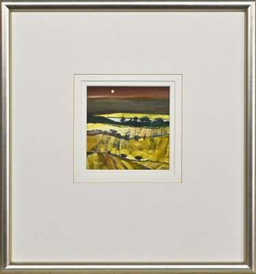 Lot 47 - * GORDON WILSON (SCOTTISH b. 1968)