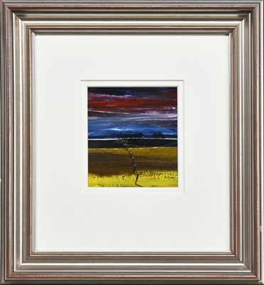 Lot 49 - * GORDON WILSON (SCOTTISH b. 1968)