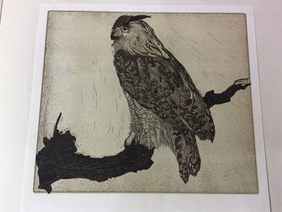 Lot 25 - THE ETCHINGS OF THE LATE WARICK REYNOLDS BOOK