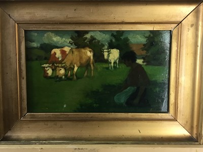 Lot 54 - CATTLE GRAZING