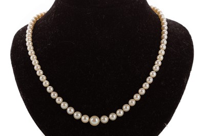 Lot 1172 - STRING OF PEARLS