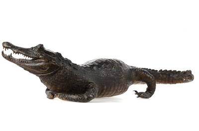 Lot 65 - TAXIDERMY CROCODILE