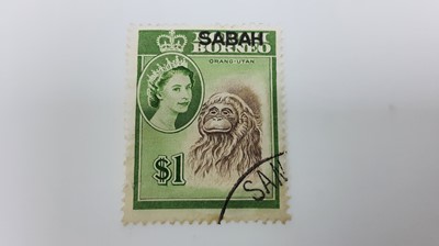 Lot 1317 - MALAYA