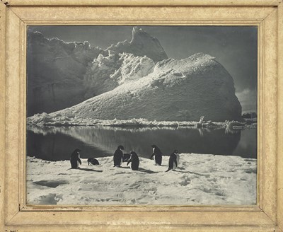 Lot 68 - HEROIC AGE OF ANTARCTIC EXPLORATION - HERBERT PONTING (BRITISH, 1870-1935), ORIGINAL PHOTOGRAPH