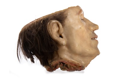 Lot 73 - WAX ANATOMICAL STUDY OF A CUT AWAY HEAD