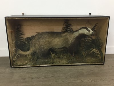 Lot 78 - VICTORIAN TAXIDERMY STUDY OF A BADGER