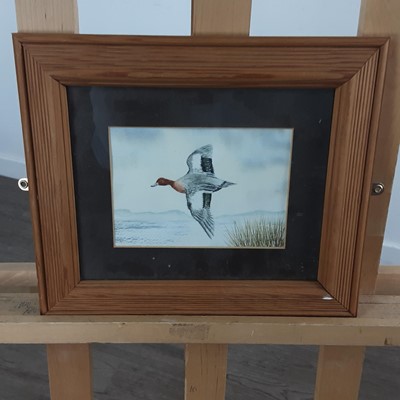 Lot 110 - RICKY FIGG, FOUR WATERCOLOURS DEPICTING BIRDS