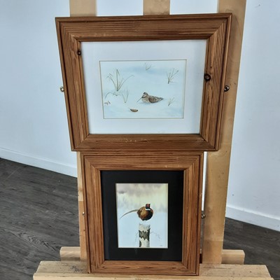 Lot 110 - RICKY FIGG, FOUR WATERCOLOURS DEPICTING BIRDS