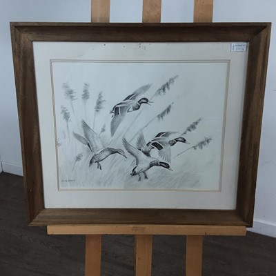 Lot 110 - RICKY FIGG, FOUR WATERCOLOURS DEPICTING BIRDS