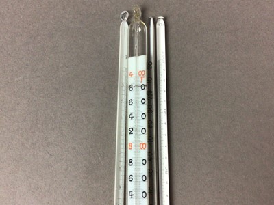 Lot 297 - EIGHT THERMOMETERS
