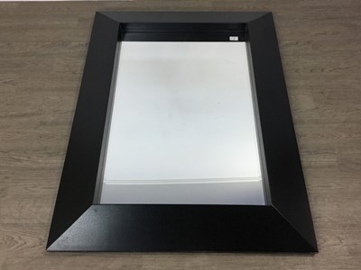 Lot 458 - MODERN WALL MIRROR