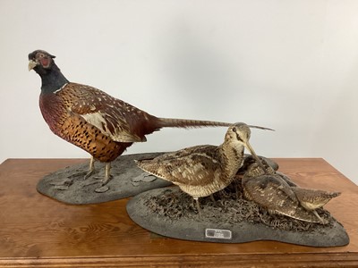 Lot 35 - TAXIDERMY PHEASANT AND SNIPE GROUP