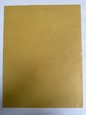 Lot 954 - (ANDY WARHOL'S) VELVET UNDERGROUND - CONCERT POSTER, 1967, THE TRAUMA, PHILADELPHIA