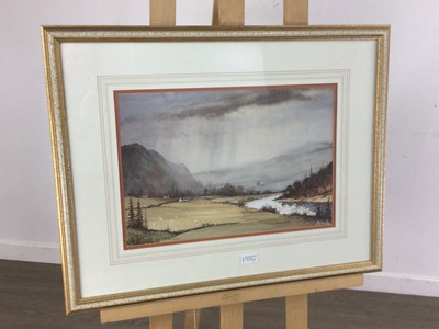 Lot 709 - BILL MCNALLY