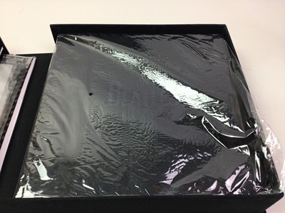 Lot 504 - 'THE BEATLES BOX OF VISION' RECORD STORAGE BOX