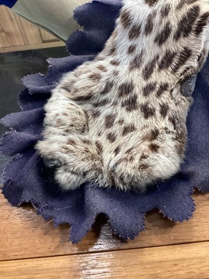 Lot 22 - TAXIDERMY LEOPARD SKIN RUG IN THE MANNER OF VAN INGEN & VAN INGEN