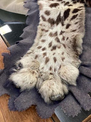 Lot 22 - TAXIDERMY LEOPARD SKIN RUG IN THE MANNER OF VAN INGEN & VAN INGEN