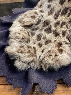 Lot 22 - TAXIDERMY LEOPARD SKIN RUG IN THE MANNER OF VAN INGEN & VAN INGEN