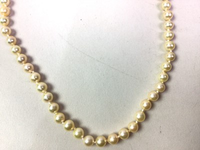 Lot 1 - SINGLE STRAND CULTURED PEARL NECKLACE