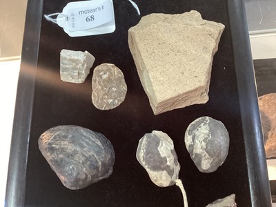 Lot 68 - COLLECTION OF STONE FRAGMENTS