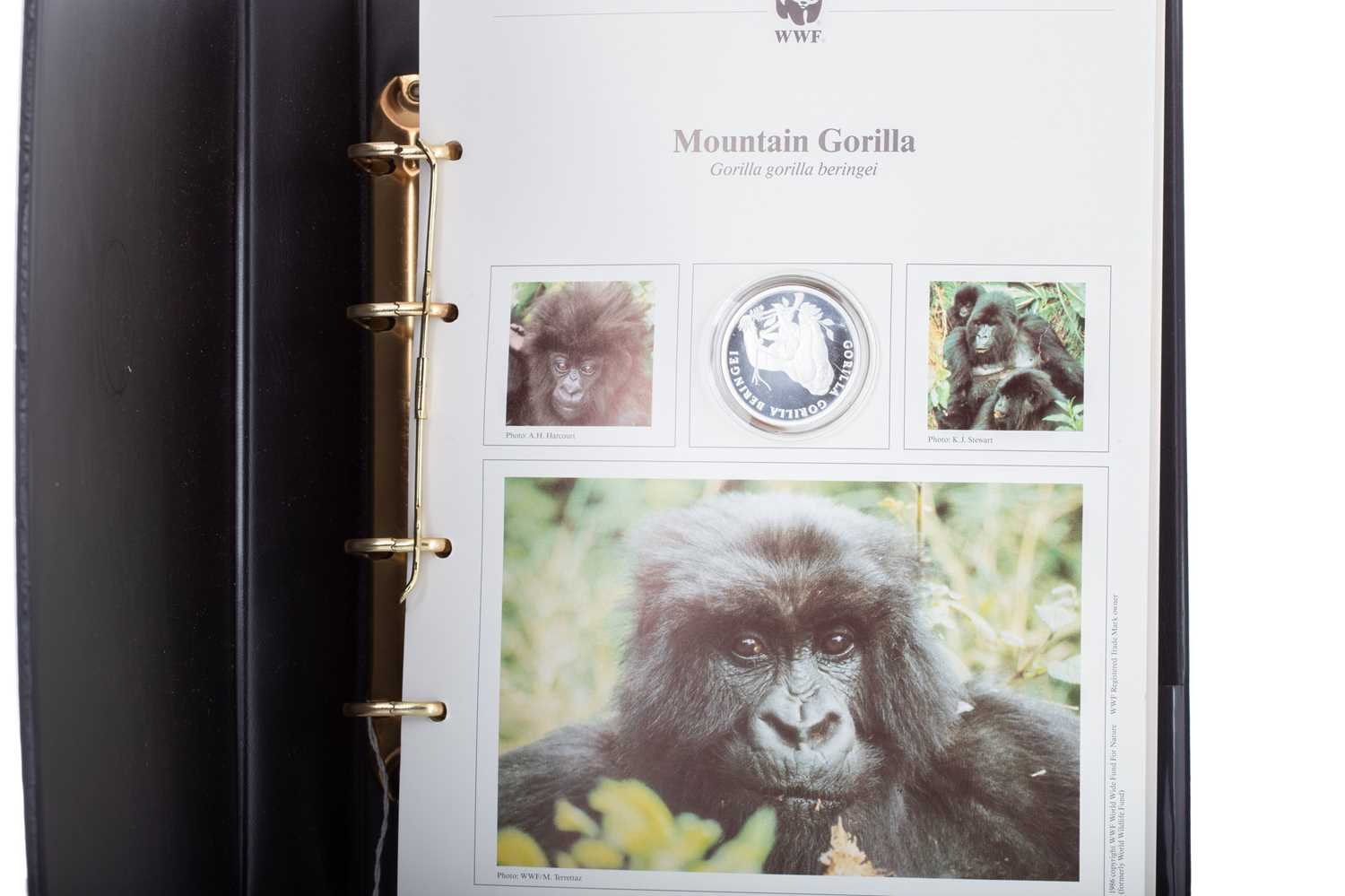 Lot 4 - WORLD WILDLIFE FUND SILVER COIN COLLECTION