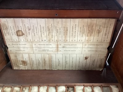 Lot 71 - APOTHECARY TABLE CABINET