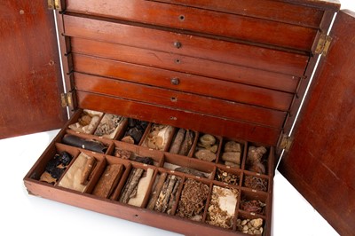 Lot 71 - APOTHECARY TABLE CABINET