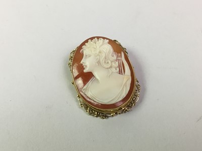 Lot 435 - CAMEO BROOCH