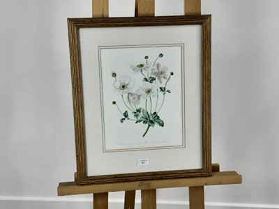 Lot 447 - ANN FRASER