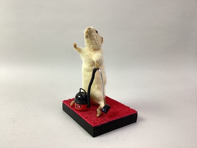 Lot 88 - ANTHROPOMORPHIC TAXIDERMY STUDY OF A MOUSE